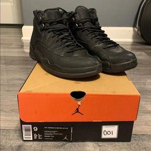 Retro 12 Jordan’s. Great condition winter edition.